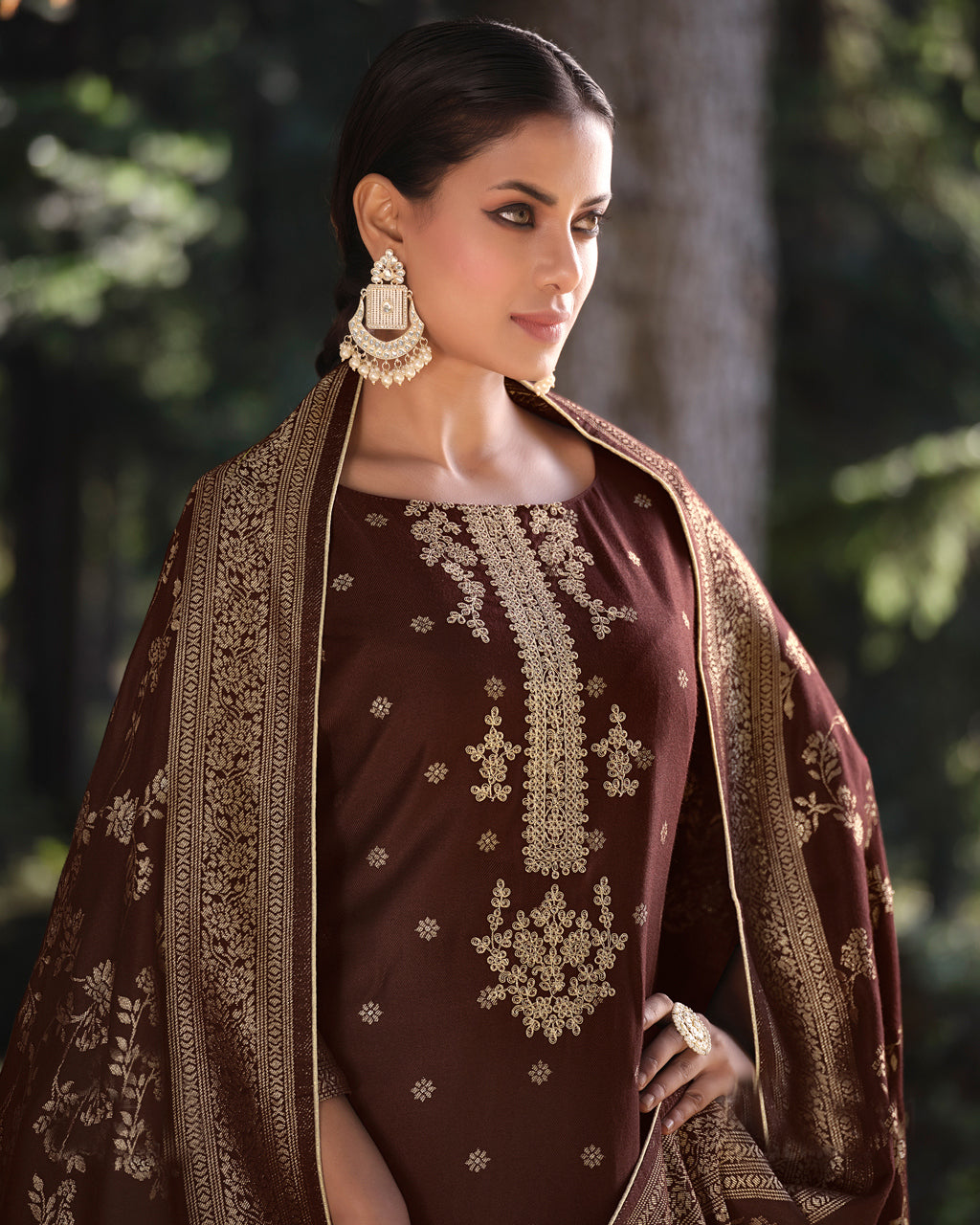 Bitter Brown Viscose Pashmina with Embroidery Work Jacquard Luxe Elegance