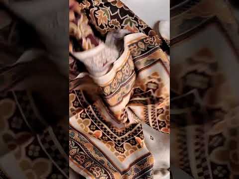 Classic Chalk White Bemberg Muslin Silk Khatli Heritage Chapter